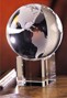 Spinning Globe Award